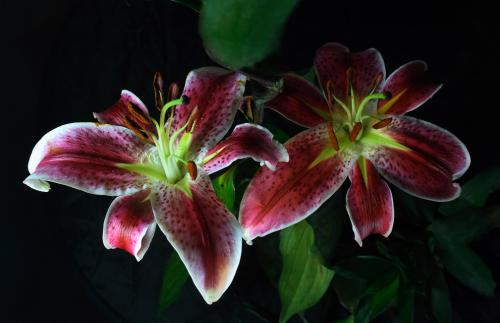 հ죺ˮϵȫͨ ˳ǡø˾